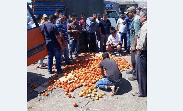 مزارعو البندورة والخيار رموا محاصيلهم بسبب منافسة البضائع الأجنبية المهربة