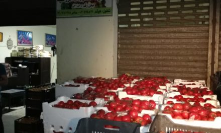 الجمارك اللبنانية ضبطت أطنانا من البندورة المهربة في سوق قب الياس