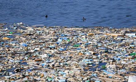 جريمة تلوث البحر في لبنان…