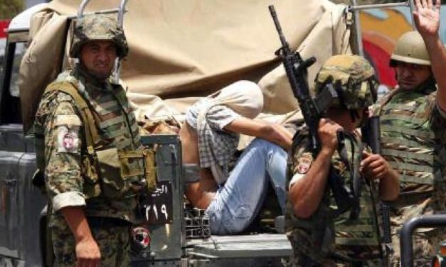 هذا ما يحصل في الحمودية