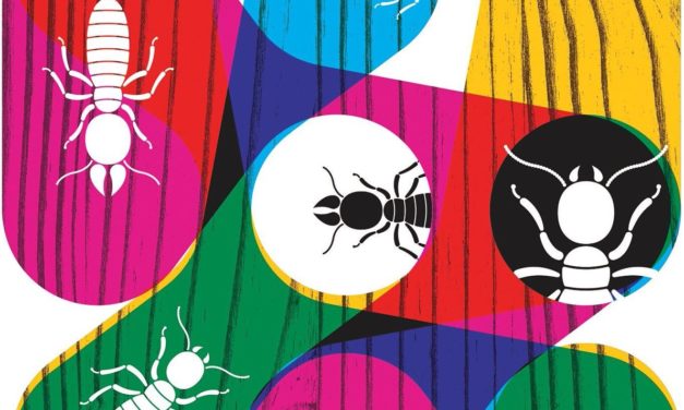 وزراء التقدمي واللقاء الديمقراطي لن يزورا سوريا