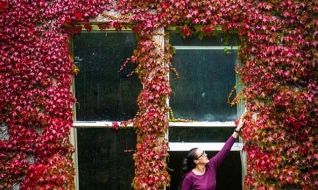 هذا الخريف يشبه الصيف