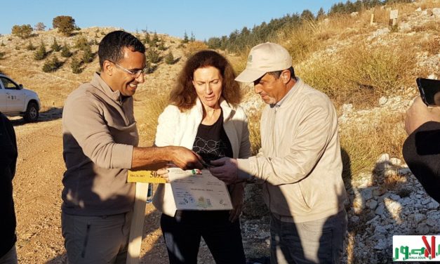 الأخذ بالثأر والذبح على الهوية