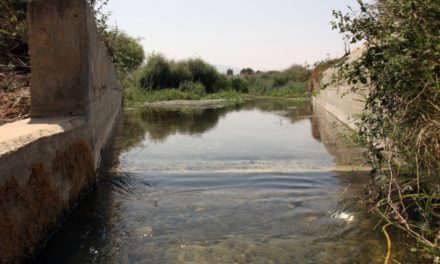 التصحّر يغزو البقاع الشمالي: نهر اللبوة “اختفى”!