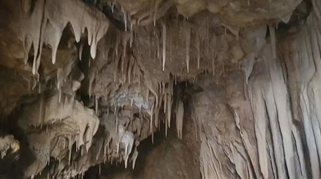 بالصور: اكتشاف طبيعي مذهل… جعيتا في جب جنين؟