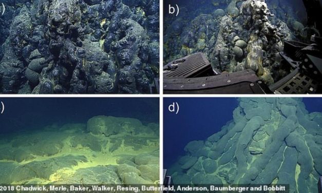 «حديقة من الحمم البركانية» في أعماق المحيط الهادئ