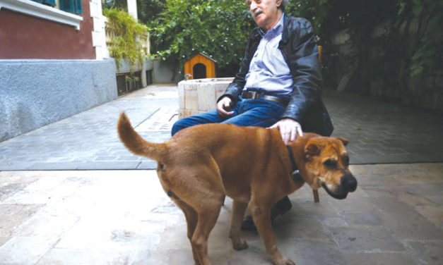 جنبلاط يترقب وواثق بـ«حليفه الأول»