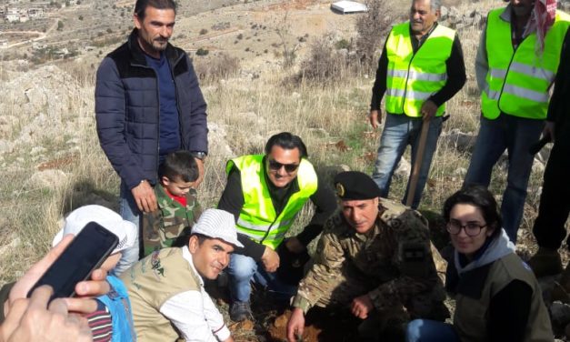 1500 شجرة أرز هدية الاستقلال لراشيا