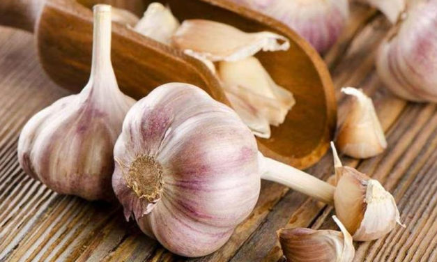 ما الضرر الذي يسببه الثوم للجسم؟