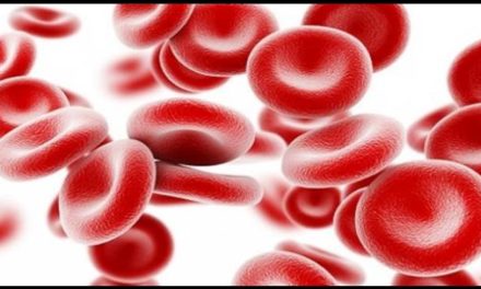 مأكولات ونشاطات يومية لزيادة كريات الدم الحمراء