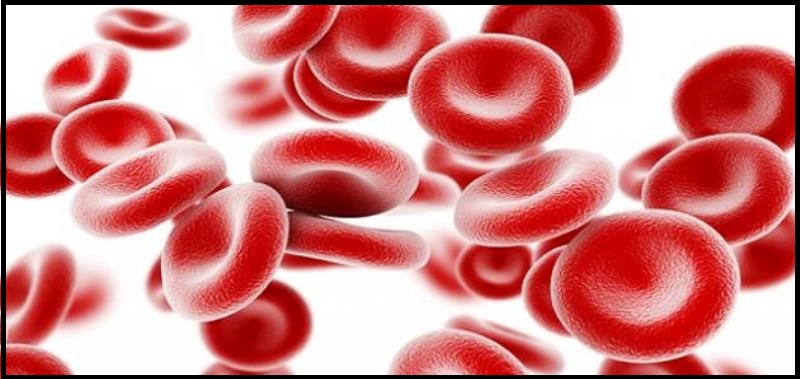 مأكولات ونشاطات يومية لزيادة كريات الدم الحمراء