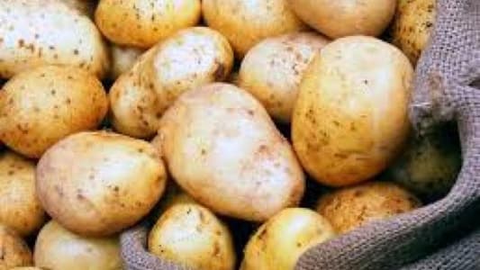 وزارة الإقتصاد تضبُط ٧ طن من البطاطا
