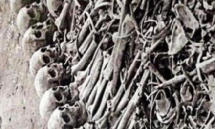‎كتب نقولا أبو فيصل “اربعمائة طن من عظام الأرمن للاستعمال الصناعي”