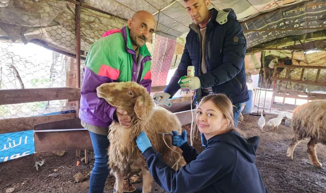 بصمات مضيئة للوكالة الأميركية للتنمية الدولية في قطاع الحليب ومشتقاته!