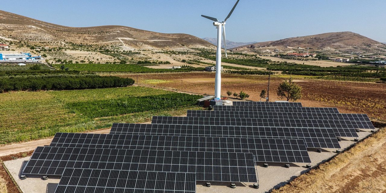 من قلب التحدّي… ولادة غابةٍ جديدة في المنارة: مبادرة بيئية رائدة بتوقيع سعيد إبراهيم أبو غنيم