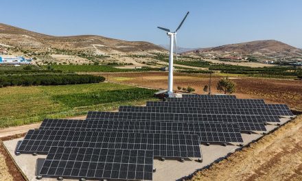 من قلب التحدّي… ولادة غابةٍ جديدة في المنارة: مبادرة بيئية رائدة بتوقيع سعيد إبراهيم أبو غنيم