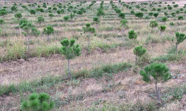 اطلاق مشروع “بساتين” لدعم مزارعي عكار والبقاع بتمويل من الوكالة الفرنسية للتنمية