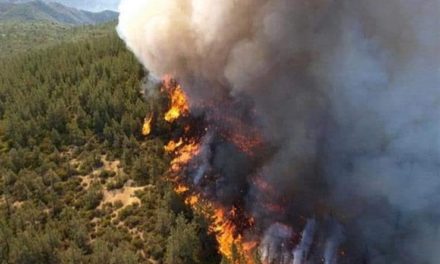 كارثة بيئية تحرق لبنان وباسيل يعرقل تعيين 106 من حراس الأحراج !