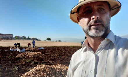 صرخة للمزارعين لتسهيل مرور منتوجاتهم… فارس: لإيلاء القطاع الزراعي الاهتمام اللازم