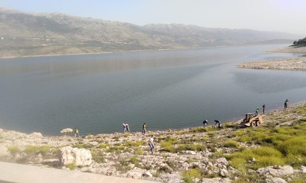 الضفة الشرقية لبحيرة القرعون باتت نظيفة