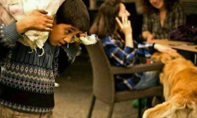 ‎بين كلاب مدللة وبشر معذبين حياة منزوعة الدسم …