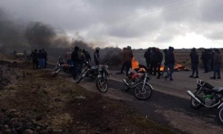 السويداء:احتجاجات معيشية واسعة.. والنظام يرسل تعزيزات وقناصة