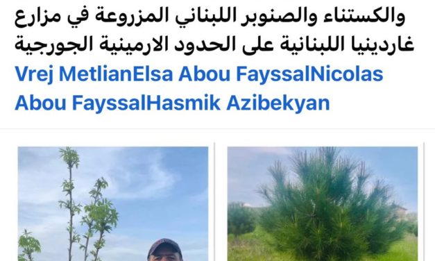 بين الخوف من الغربة … والغربة في الوطن