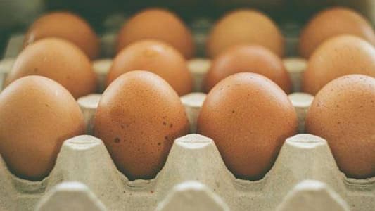 بيض ملوّث في الأسواق… و”الصحة” تردّ