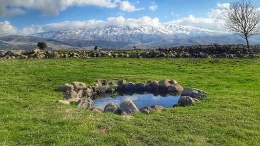 عودة إلى الجذور… وادي التيم في فيلم