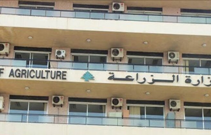 وزارة الزراعة تتقدم بخطوة جديدة نحو الاقتصاد…