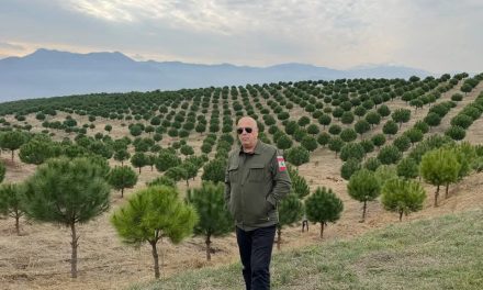 عن الرفقة التي تُريح ولا تُرهق كتب نقولا أبو فيصل