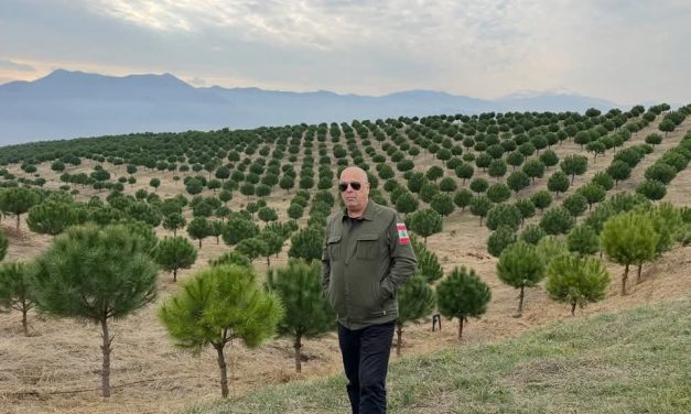 عن الرفقة التي تُريح ولا تُرهق كتب نقولا أبو فيصل