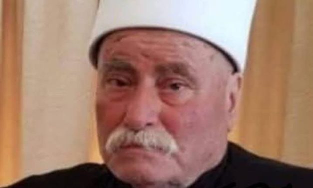 الشيخ والمعالي  بقلم الدكتور شوقي أبو لطيف