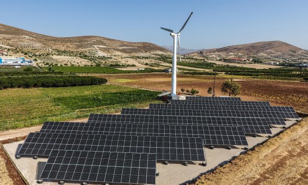 من قلب التحدّي… ولادة غابةٍ جديدة في المنارة: مبادرة بيئية رائدة بتوقيع سعيد إبراهيم أبو غنيم