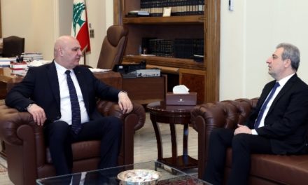 أبو فاعور يلتقي الرئيس عون لمناقشة المستجدات السياسية والأمنية