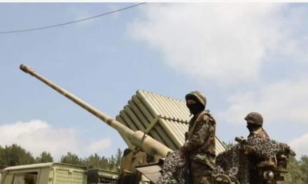 نزع سلاح الحزب مشروط بنقطتين!