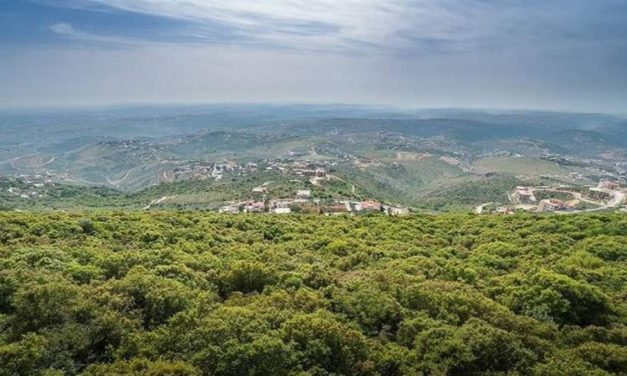 لبنان أمام مرحلة حساسة ودقيقة.. واسرائيل تتقدّم!